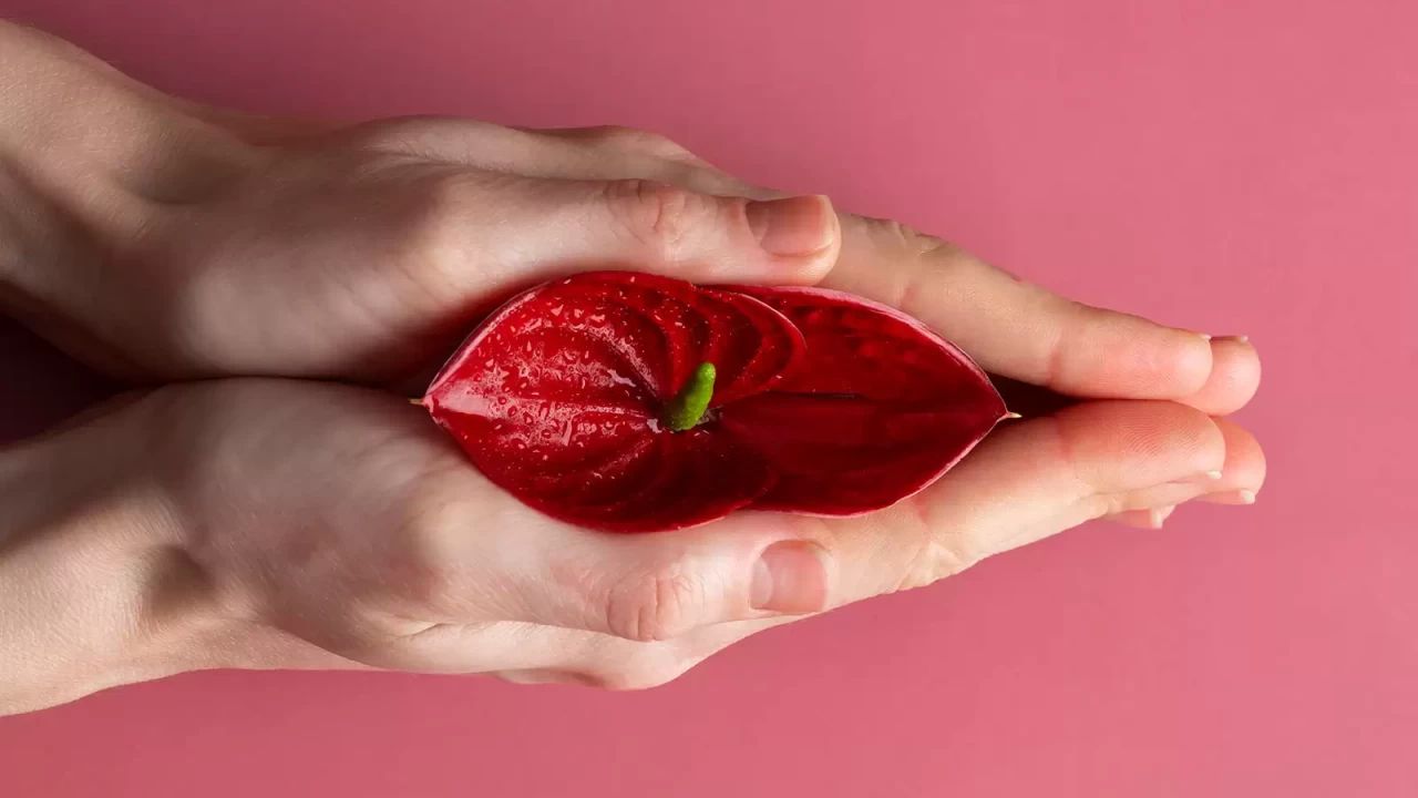 Hymenoplasti (Kızlık Zarı Onarımı) Nedir?